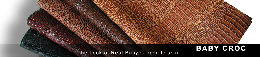 Baby Croc