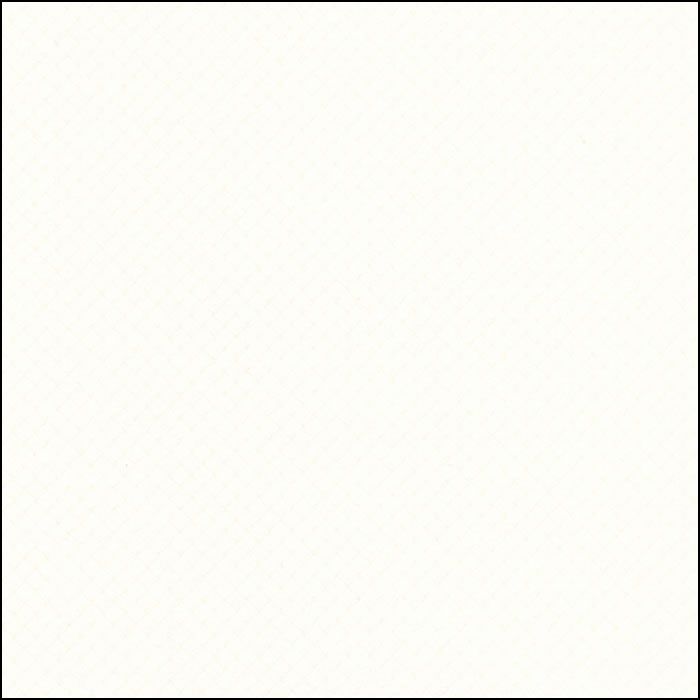 Apex - APX-2554 - Brilliant White