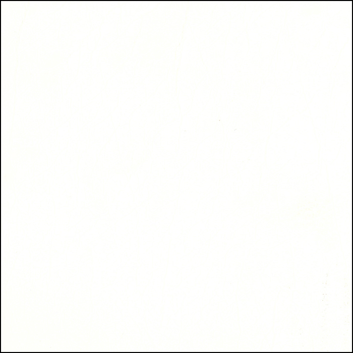 ARI-1601 - Brilliant White